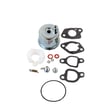 Lawn & Garden Equipment Engine Carburetor Rebuild Kit for LCT PW3HK1865018E - Part 580353601