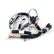 Lawn Tractor Dash Wire Harness (replaces 585849401)