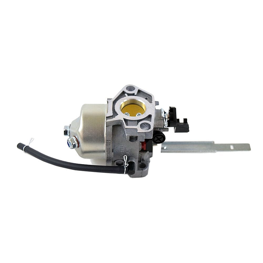 Snowblower Carburetor
