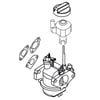 Snowblower Carburetor 587154101