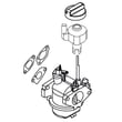 Snowblower Carburetor 587154101