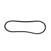 Tiller Reverse Drive Belt