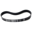 Belt 2BWU