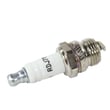 Lawn & Garden Equipment Engine Spark Plug RDJ7Y