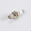 Lawn & Garden Equipment Engine Spark Plug RDZ4H