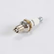 Lawn & Garden Equipment Engine Spark Plug RDZ4H