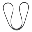 V-belt, 59-in STD303590