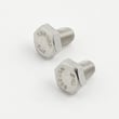 Hex Bolt, 2-pack STD622503
