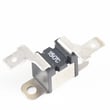 Viking Range Fuse PM100017