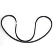 V-belt, 79-in STD325790