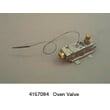 Safety Valve for Roper FLP320VW0 - Part 4157094