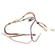 Dishwasher Wire Harness And Thermal Fuse WD21X25322