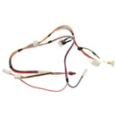 Dishwasher Wire Harness And Thermal Fuse (replaces Wd21x25322) WD21X27402