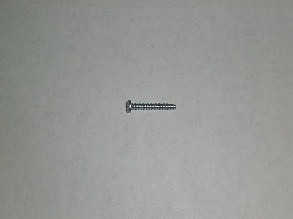 Screw (Silver)