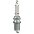 Spark Plug 491055