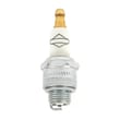 Snowblower Engine Spark Plug 868
